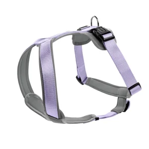 Preisknaller HUNTER Geschirr Neopren 53-65/M lavendel/grau